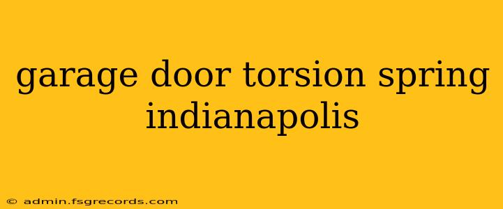 garage door torsion spring indianapolis