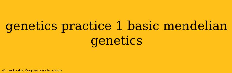 genetics practice 1 basic mendelian genetics