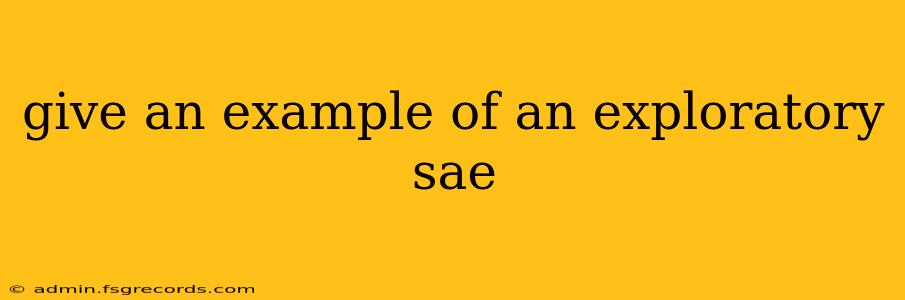 give an example of an exploratory sae