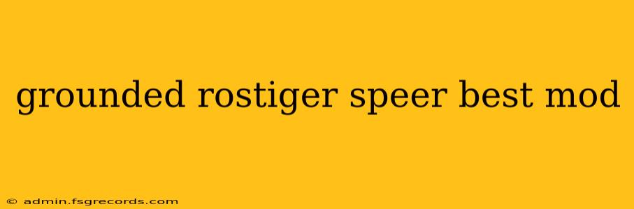 grounded rostiger speer best mod