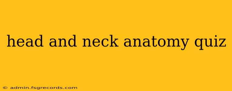 head and neck anatomy quiz