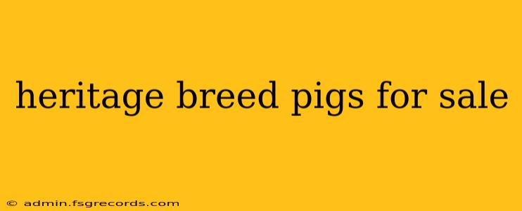 heritage breed pigs for sale