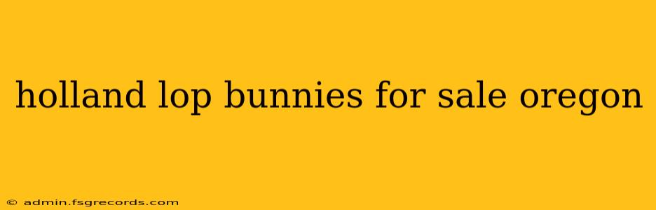 holland lop bunnies for sale oregon