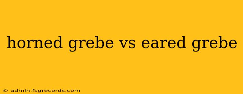 horned grebe vs eared grebe