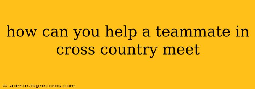 how can you help a teammate in cross country meet