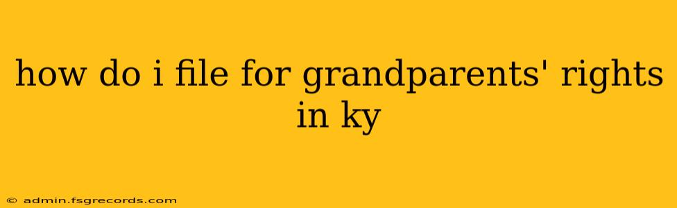 how do i file for grandparents' rights in ky