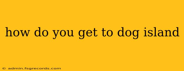 how do you get to dog island