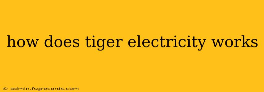 how does tiger electricity works