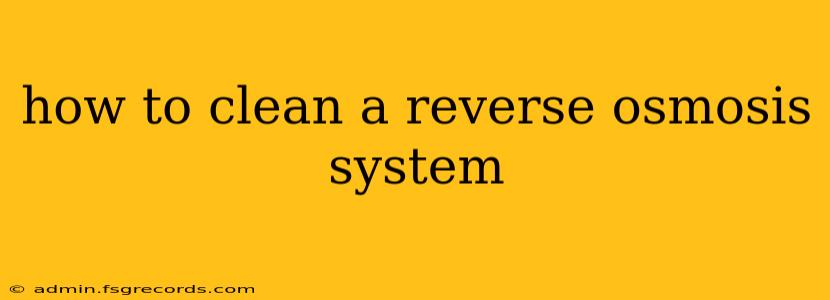 how to clean a reverse osmosis system