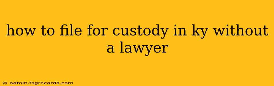 how to file for custody in ky without a lawyer