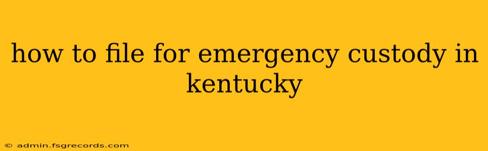 how to file for emergency custody in kentucky