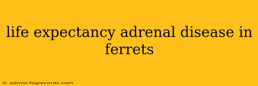 life expectancy adrenal disease in ferrets