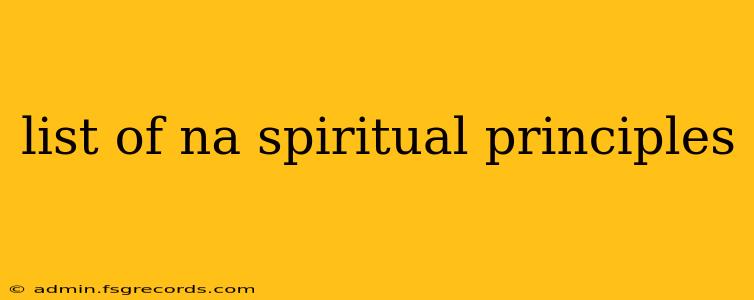 list of na spiritual principles