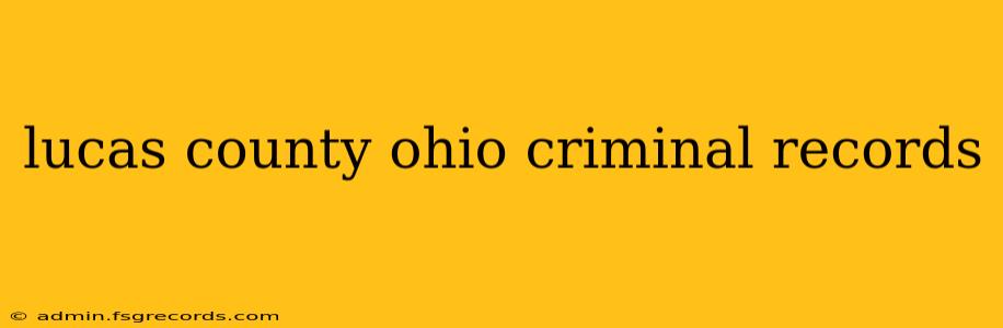 lucas county ohio criminal records