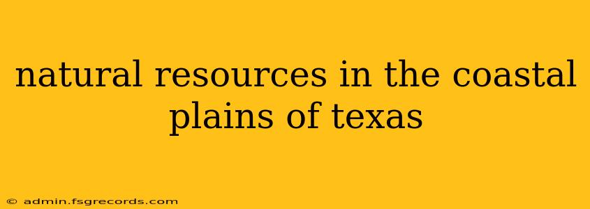 natural resources in the coastal plains of texas