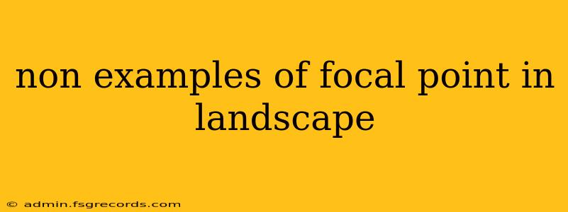 non examples of focal point in landscape