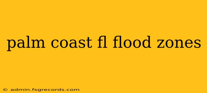 palm coast fl flood zones