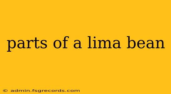 parts of a lima bean