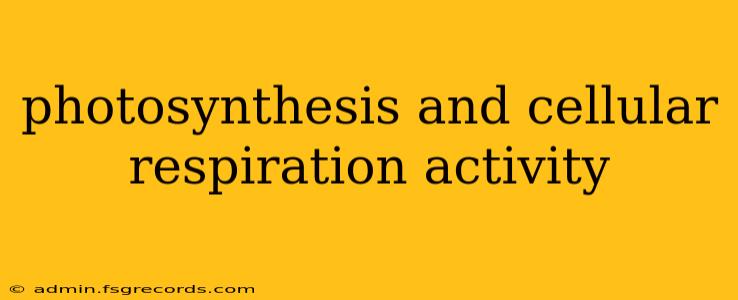 photosynthesis and cellular respiration activity