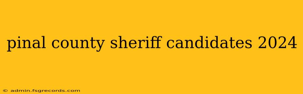 pinal county sheriff candidates 2024