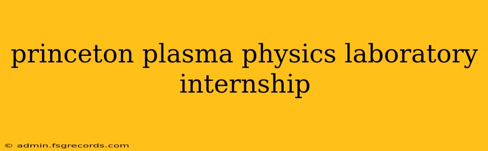 princeton plasma physics laboratory internship