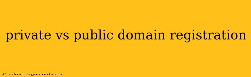 private vs public domain registration