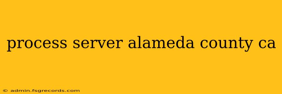 process server alameda county ca