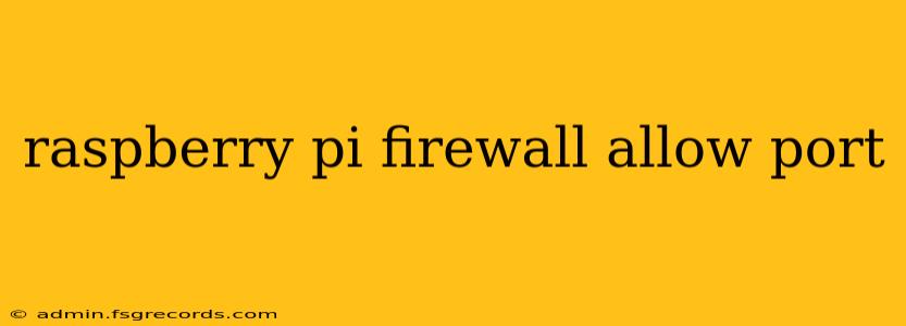 raspberry pi firewall allow port