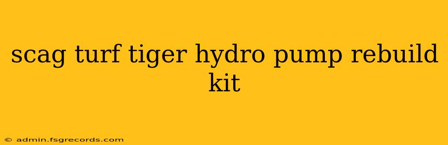 scag turf tiger hydro pump rebuild kit