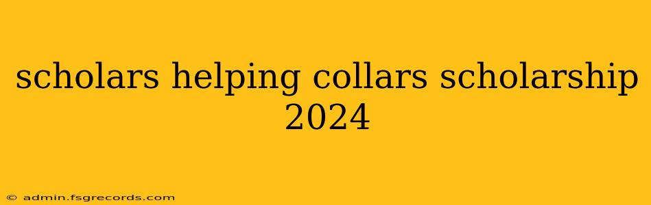 scholars helping collars scholarship 2024