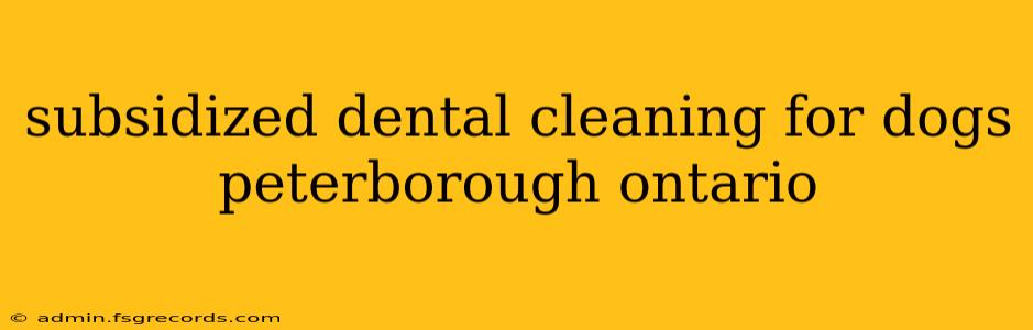 subsidized dental cleaning for dogs peterborough ontario