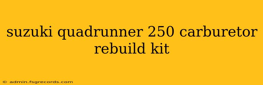 suzuki quadrunner 250 carburetor rebuild kit