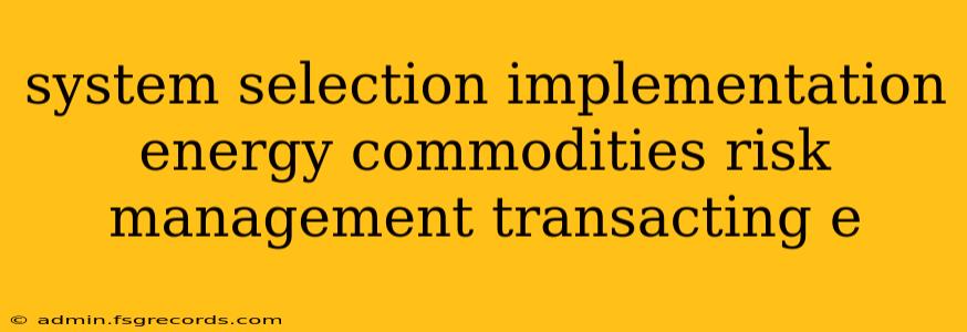 system selection implementation energy commodities risk management transacting e