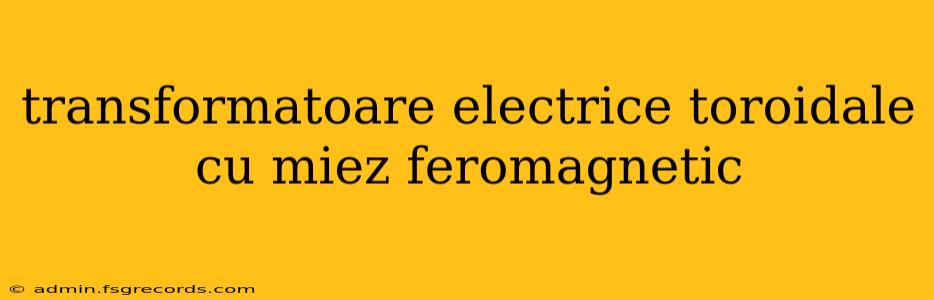 transformatoare electrice toroidale cu miez feromagnetic