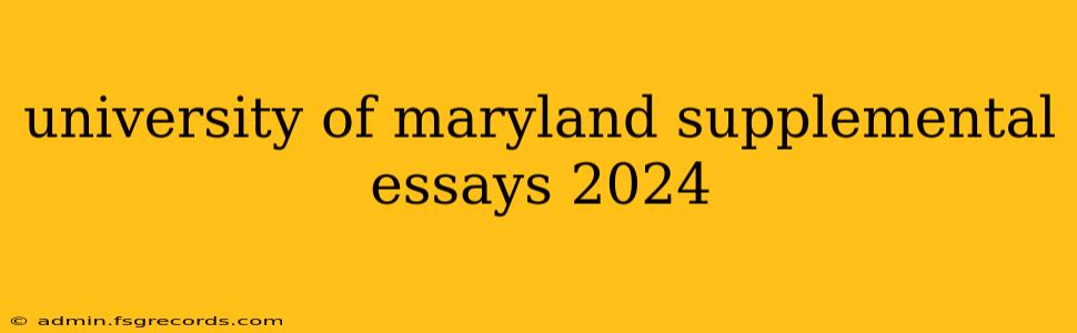 university of maryland supplemental essays 2024