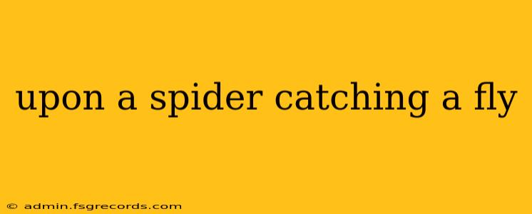 upon a spider catching a fly