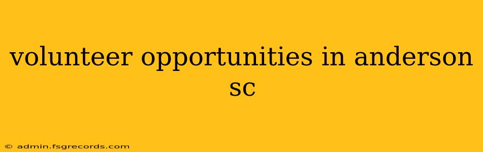 volunteer opportunities in anderson sc