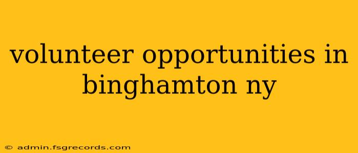 volunteer opportunities in binghamton ny