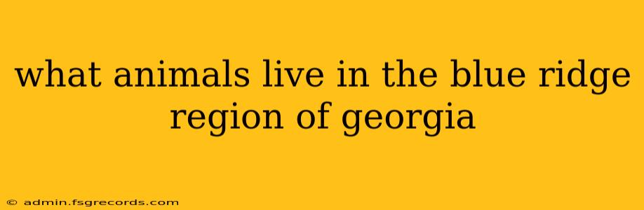 what animals live in the blue ridge region of georgia