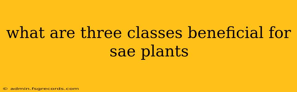 what are three classes beneficial for sae plants