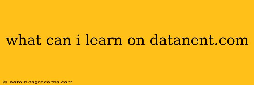 what can i learn on datanent.com