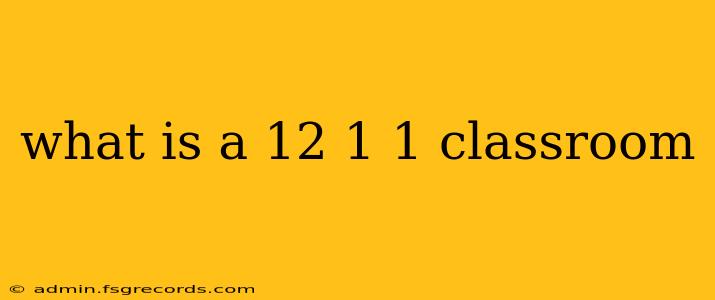 what is a 12 1 1 classroom