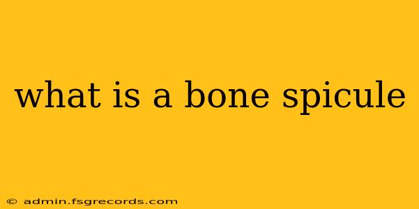 what is a bone spicule