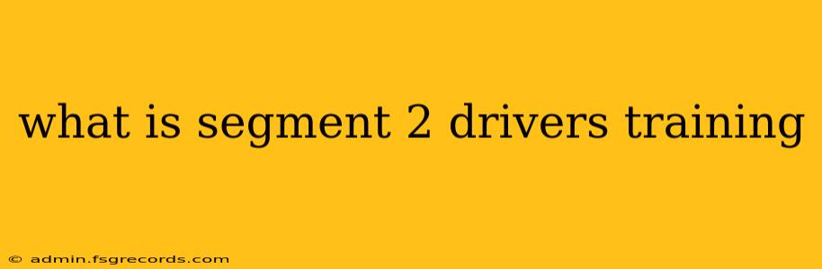 what is segment 2 drivers training