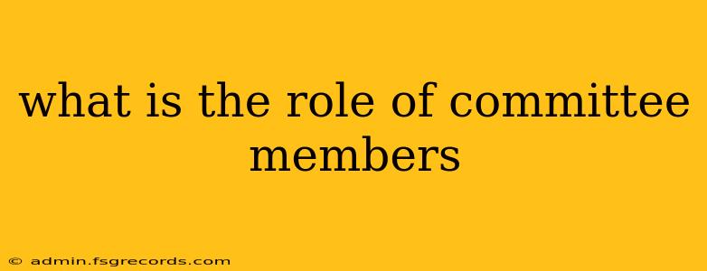 what is the role of committee members