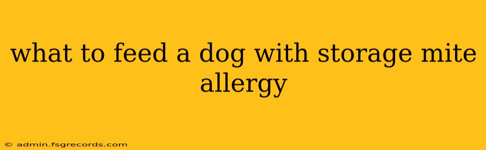 what to feed a dog with storage mite allergy