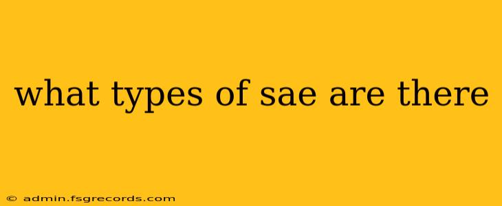 what types of sae are there