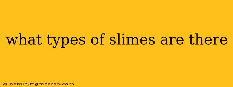 what types of slimes are there