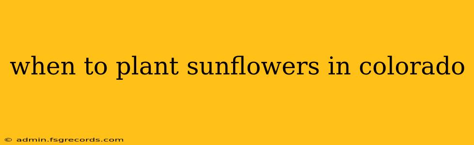 when to plant sunflowers in colorado