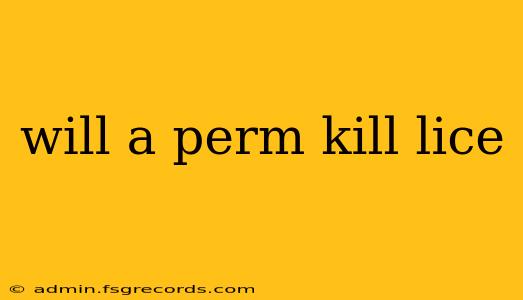 will a perm kill lice